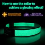 Glow in The Dark Custom Dog Collars
