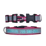 Personalized Reflective Pet ID Collar - 4 Sizes