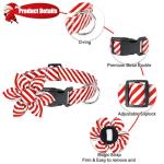 Festive Red Flower Dog Collar for All Sizes