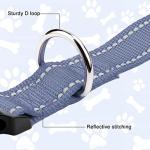 Reflective Adjustable Dog Collar for Small Dogs