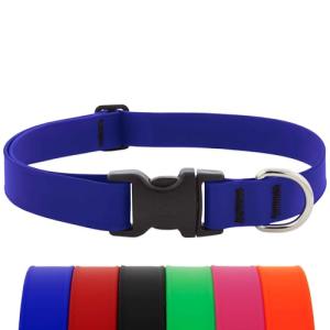 LupinePet Waterproof Dog Collar, True Blue, 1-inch