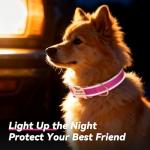 Custom Reflective Dog Collar with Engraved ID Tag