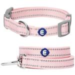 Blueberry Pet Pastel Reflective Dog Collar and Leash Set