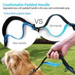 Hands-Free Dog Leash with Zipper Pouch and Handles