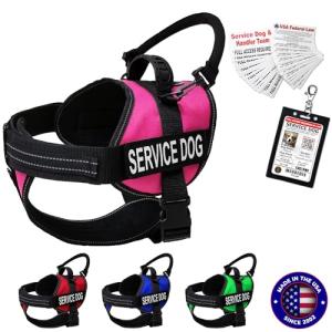Hot Pink Service Dog Vest Harness with Kit - Large