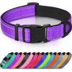 Joytale Adjustable Reflective Dog Collar for Medium Dogs