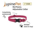 LupinePet Waterproof Dog Collar, True Blue, 1-inch