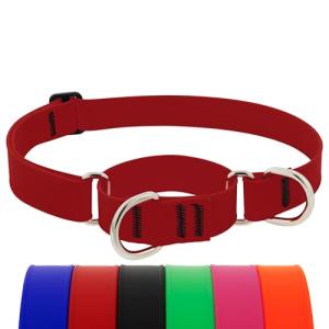 LupinePet Waterproof Martingale Dog Collar - Brick Red