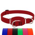 LupinePet Waterproof Martingale Dog Collar - Brick Red