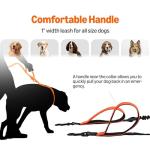 Hands-Free Dog Leash with Waist Belt and Bag