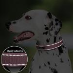 Adjustable Reflective Dog Collar for Large Breeds