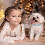 16 Reflective Adjustable Puppy Collars for Litters