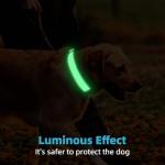 Glow in The Dark Custom Dog Collars