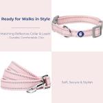 Blueberry Pet Pastel Reflective Dog Collar and Leash Set