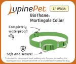 LupinePet Waterproof Martingale Dog Collar - Brick Red