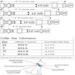 Personalized Reflective Pet ID Collar - 4 Sizes