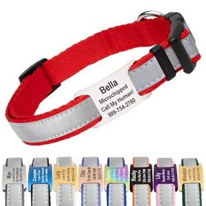 Personalized Reflective Dog Collar with Engraved Tag