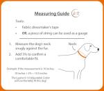 LupinePet Waterproof Dog Collar, True Blue, 1-inch