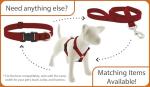 LupinePet Waterproof Martingale Dog Collar - Brick Red