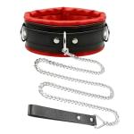 Big Thick Leather Collar and Leash Set