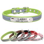 Personalized Reflective Pet Collar with ID Tag