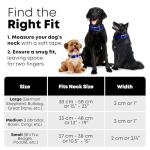 Blue Adjustable Dog Collar with Heavy Duty Buckle