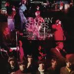 A Scratch in the Sky Pet ID Tag