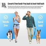 Adjustable Hands-Free Dog Leash for Active Owners