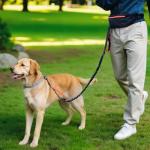 Hands-Free Dog Leash with Waist Belt and Bag