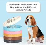 Leather Adjustable Dog Collar - 12 Colors Available