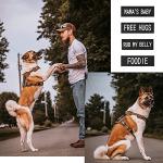 Glow-in-the-Dark Dog Vest Patches - 8 Pack