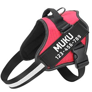 Custom No Pull Dog Harness with Name & Phone Number