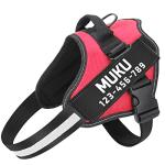 Custom No Pull Dog Harness with Name & Phone Number