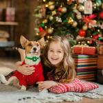 Adjustable Puppy and Cat ID Collars Set 13Pcs