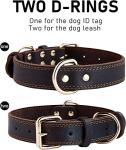 Personalized Genuine Leather Dog Collar with ID Engraving
