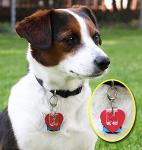 SilenTags Tag Silencer with Kwik Clip