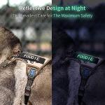 Glow-in-the-Dark Dog Vest Patches - 8 Pack