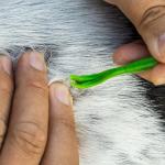 TickCheck Tick Remover 3 Pack for Pets