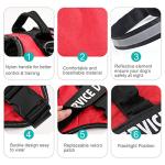 Custom No Pull Dog Harness with Name & Phone Number