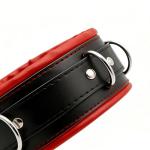Big Thick Leather Collar and Leash Set