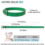 Leather Adjustable Dog Collar - 12 Colors Available