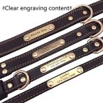 Personalized Genuine Leather Dog Collar with ID Engraving