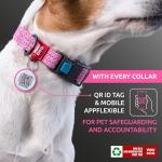 Reflective Eco-Friendly Dog Collar with QR ID Tag