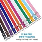 Leather Adjustable Dog Collar - 12 Colors Available