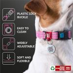 Reflective Eco-Friendly Dog Collar with QR ID Tag