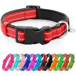 Reflective Soft Neoprene Dog Collar with ID Tag
