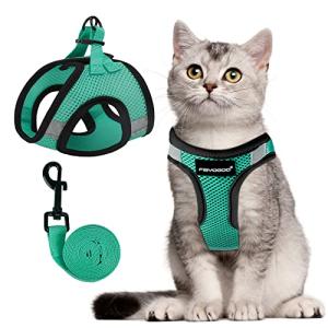FAYOGOO Cat Harness and Leash Set for Walking