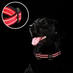Reflective Soft Neoprene Dog Collar with ID Tag