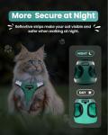 FAYOGOO Cat Harness and Leash Set for Walking
