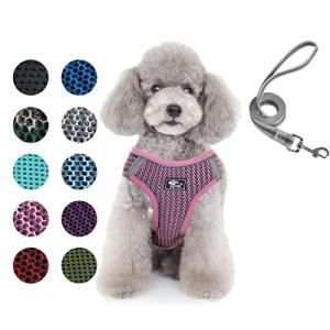 Adjustable Escape-Proof Harness and Leash Set